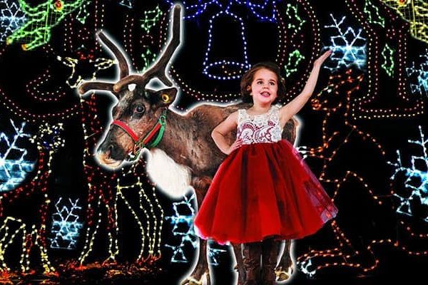 Christmas_Zoo.jpg
